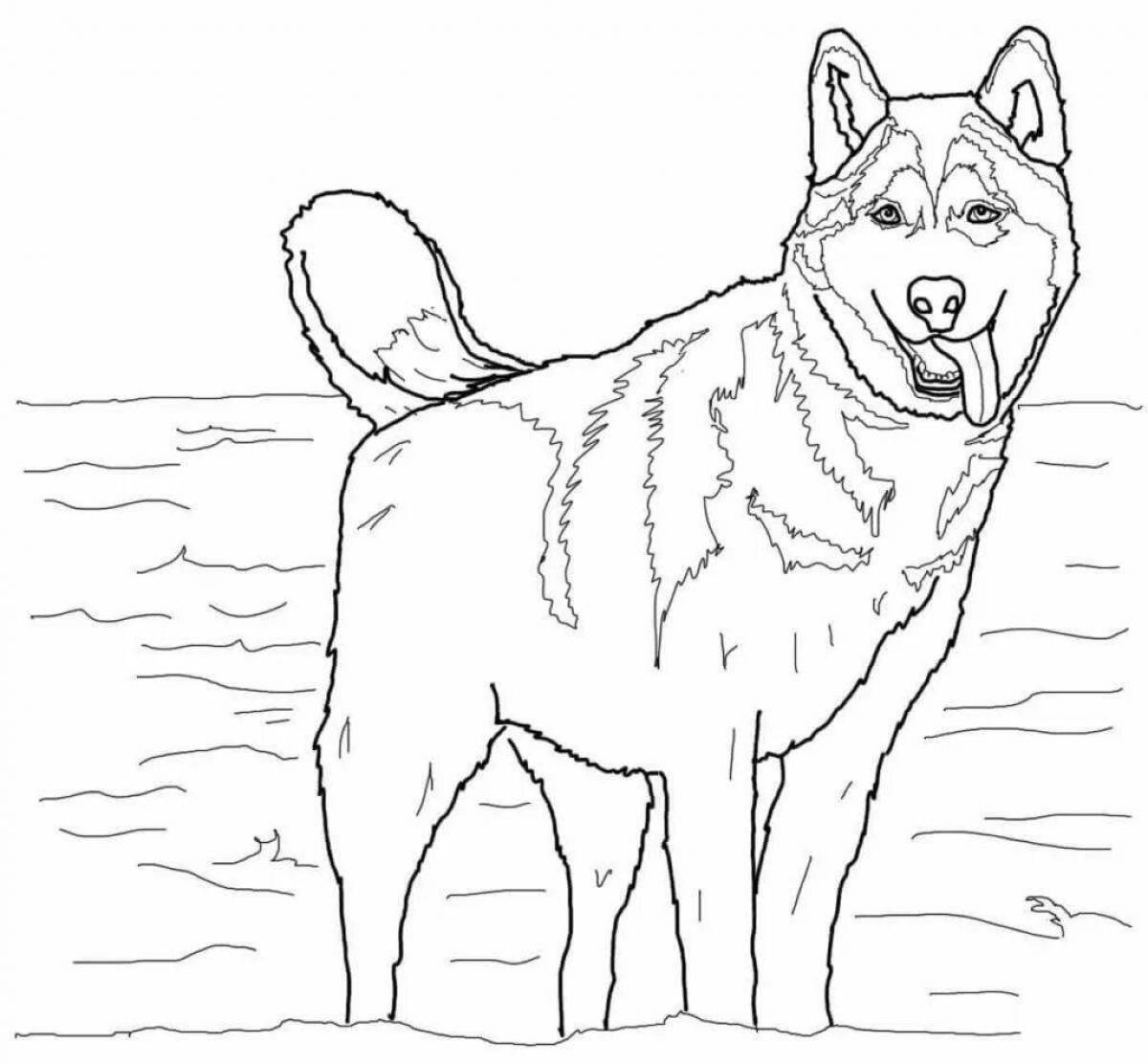Анимированная страница раскраски настоящей собаки
