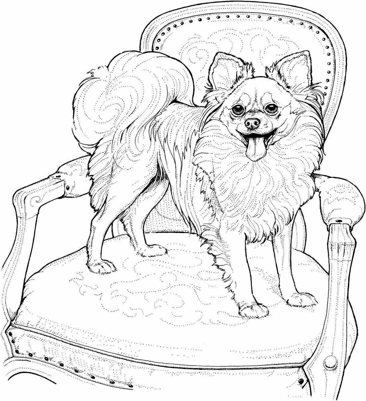 Coloring book inquisitive real dog
