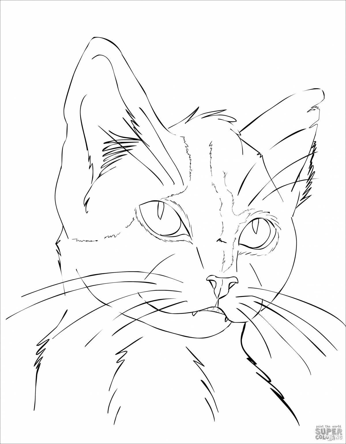 Cunning cat coloring realistic