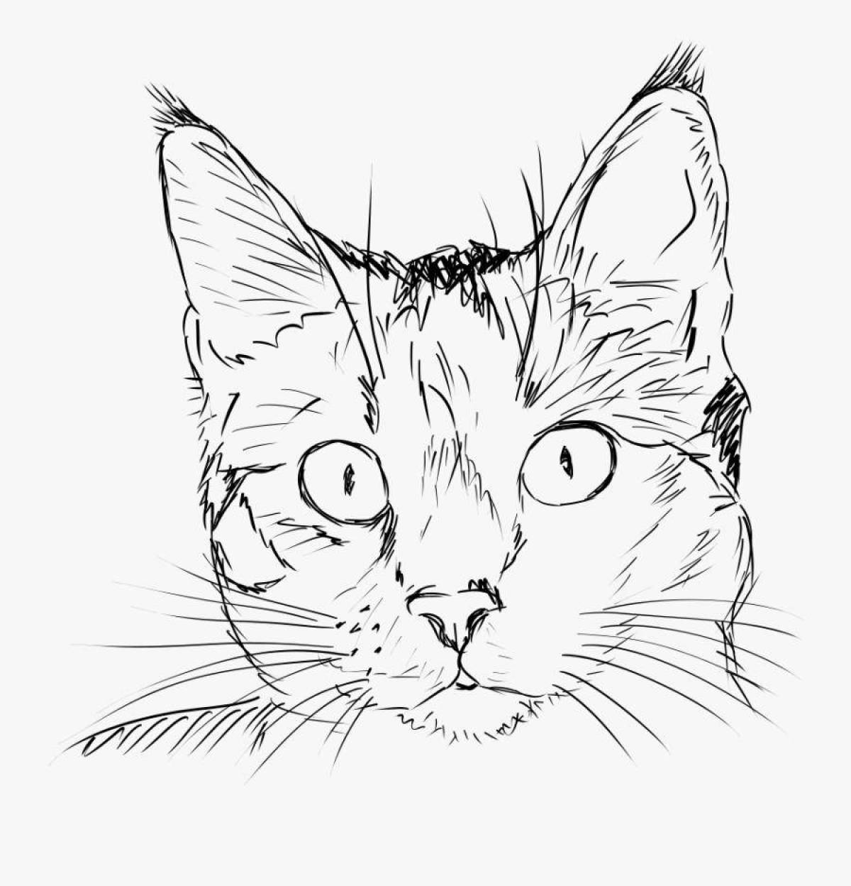 Озорная раскраска кошка реалистичная