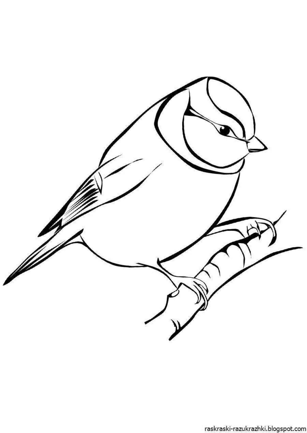 Coloring page amazing pattern of a titmouse