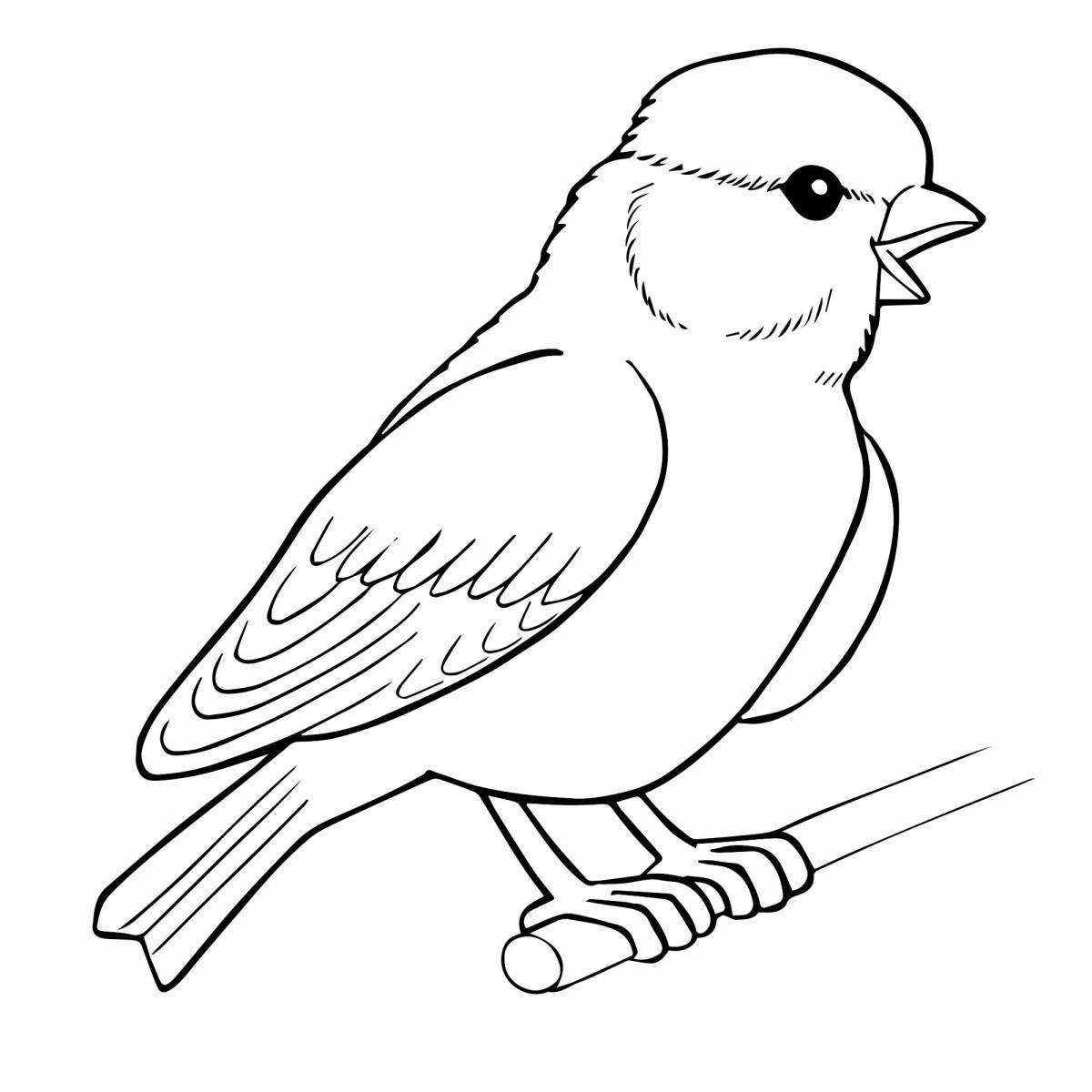 Impressive tit coloring page