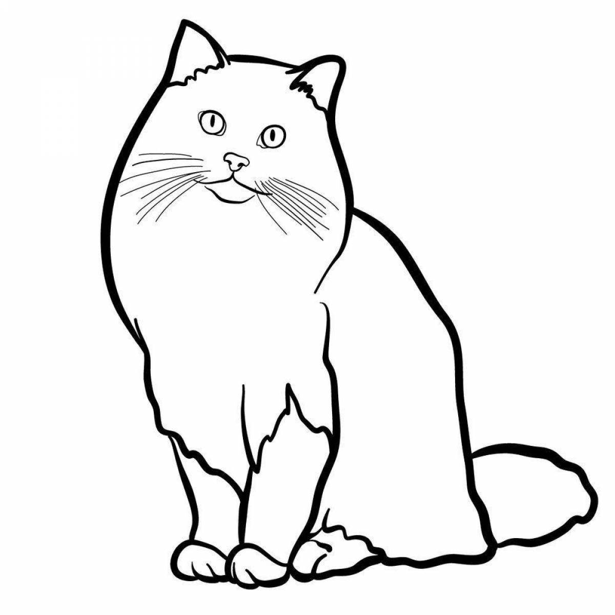Симпатичная раскраска складной котенок