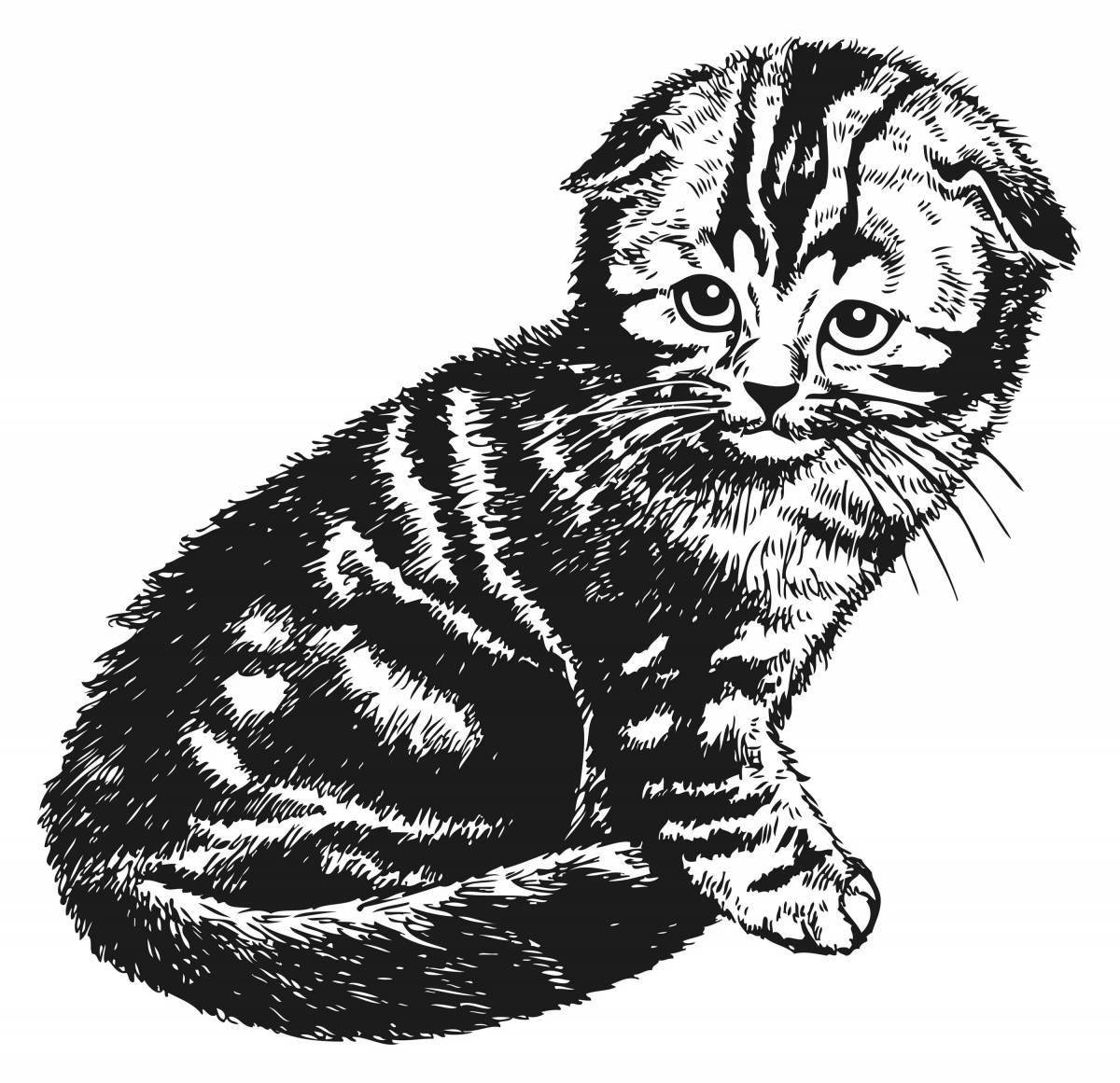 Озорная раскраска складной котенок