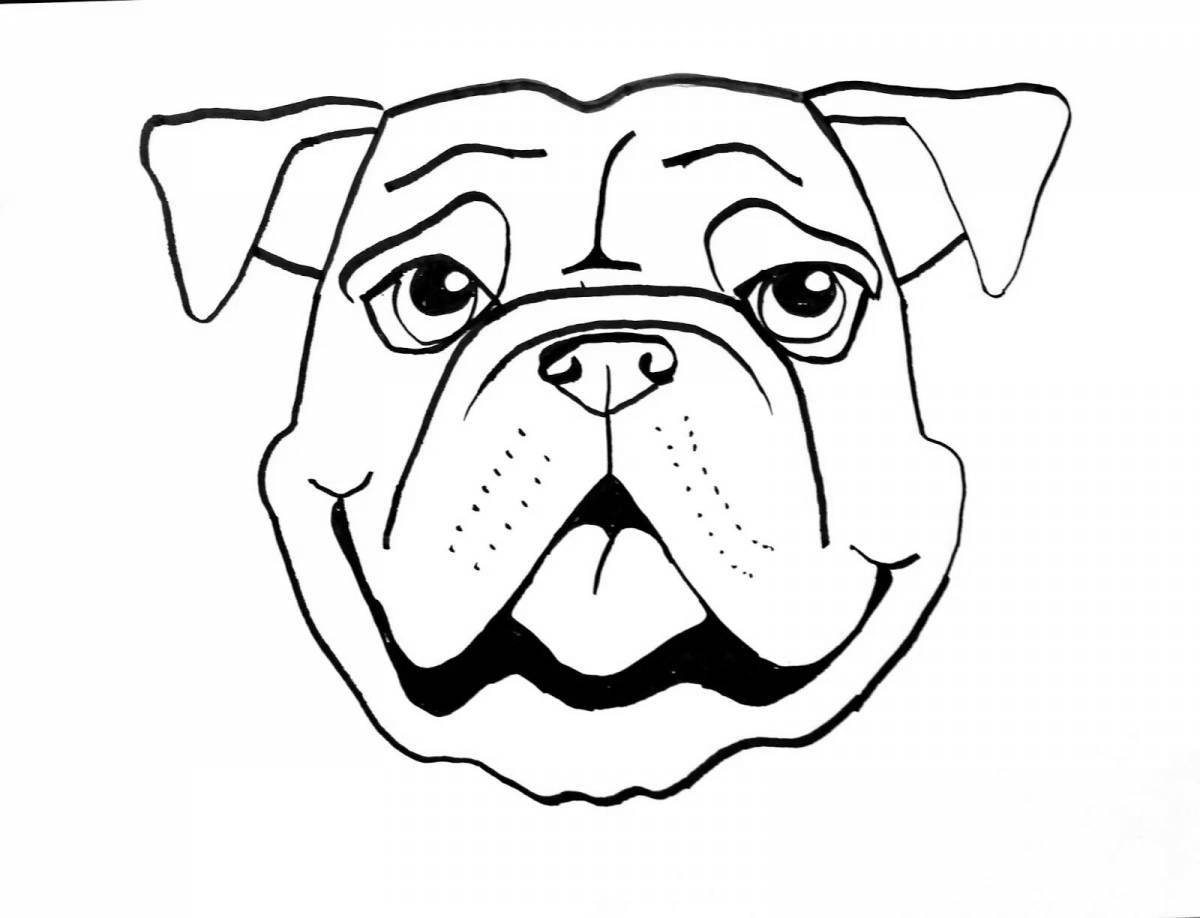 Adorable dog face coloring book
