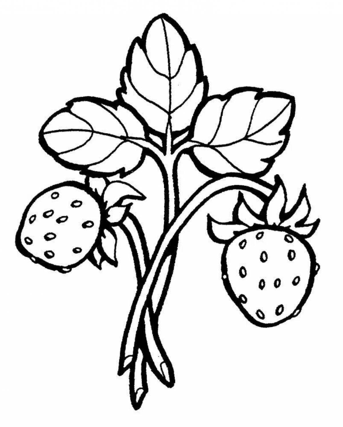 Sweet strawberry coloring page
