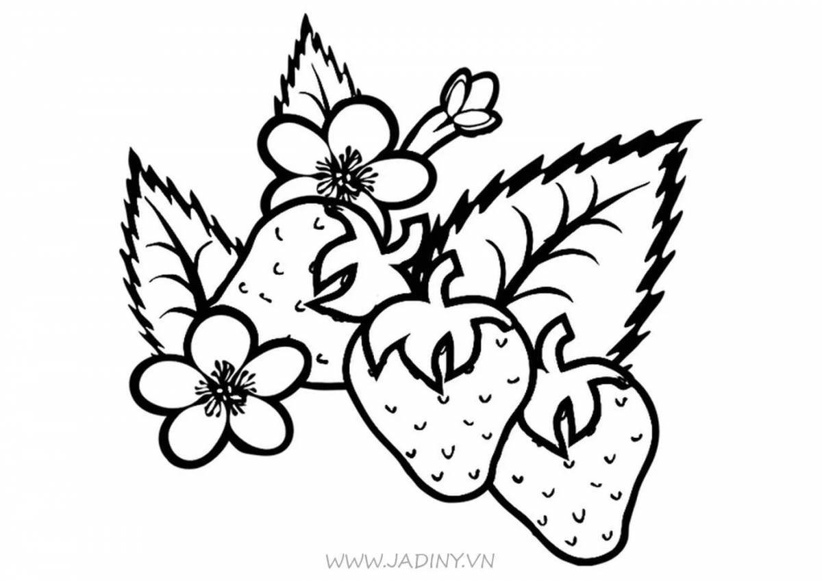 Fresh strawberry coloring page