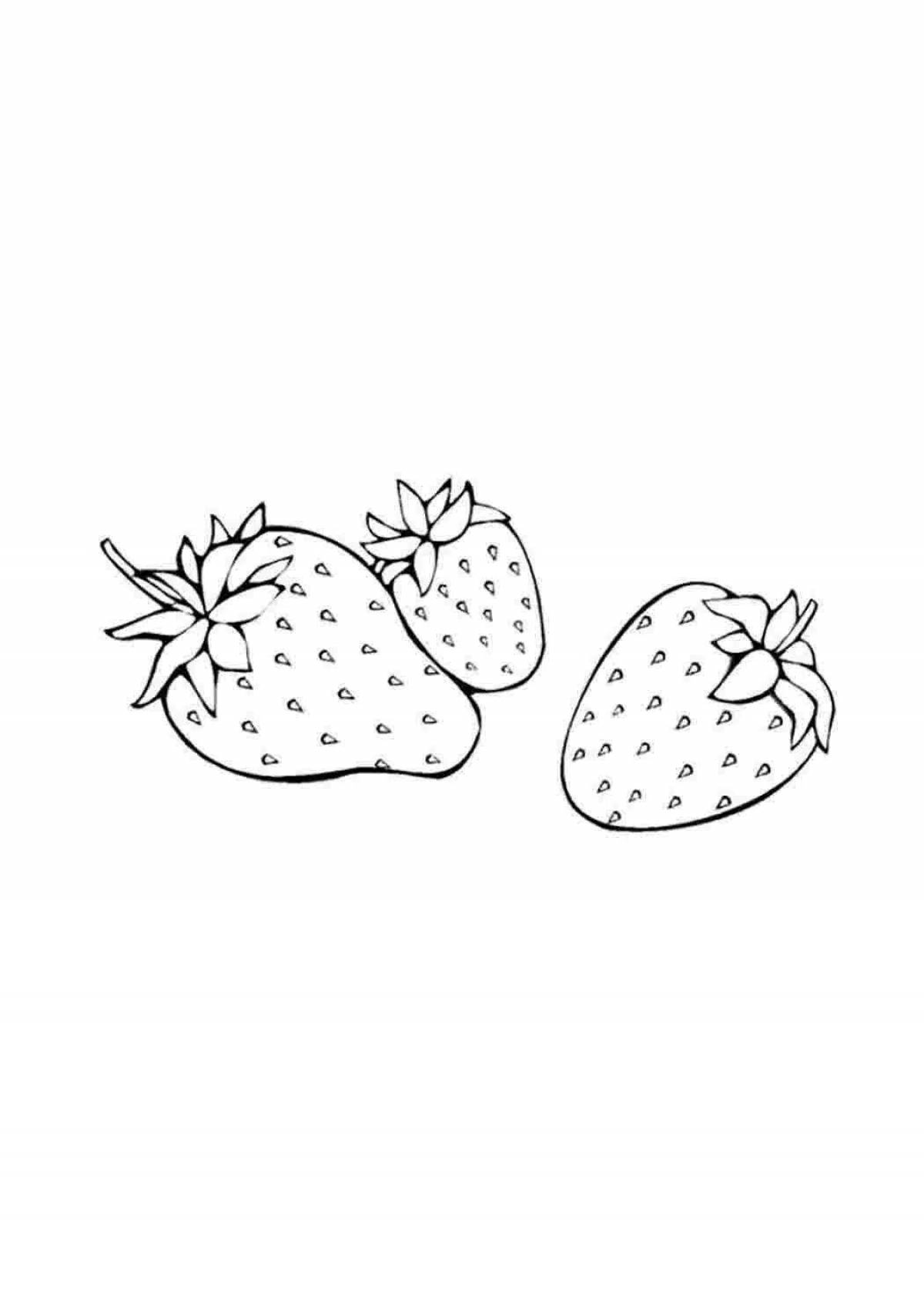 Appetizing strawberry coloring book