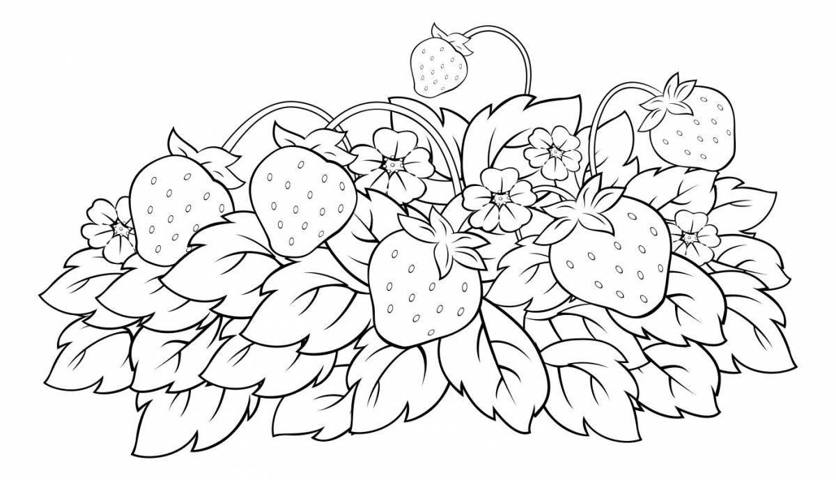 Sweet strawberry coloring page