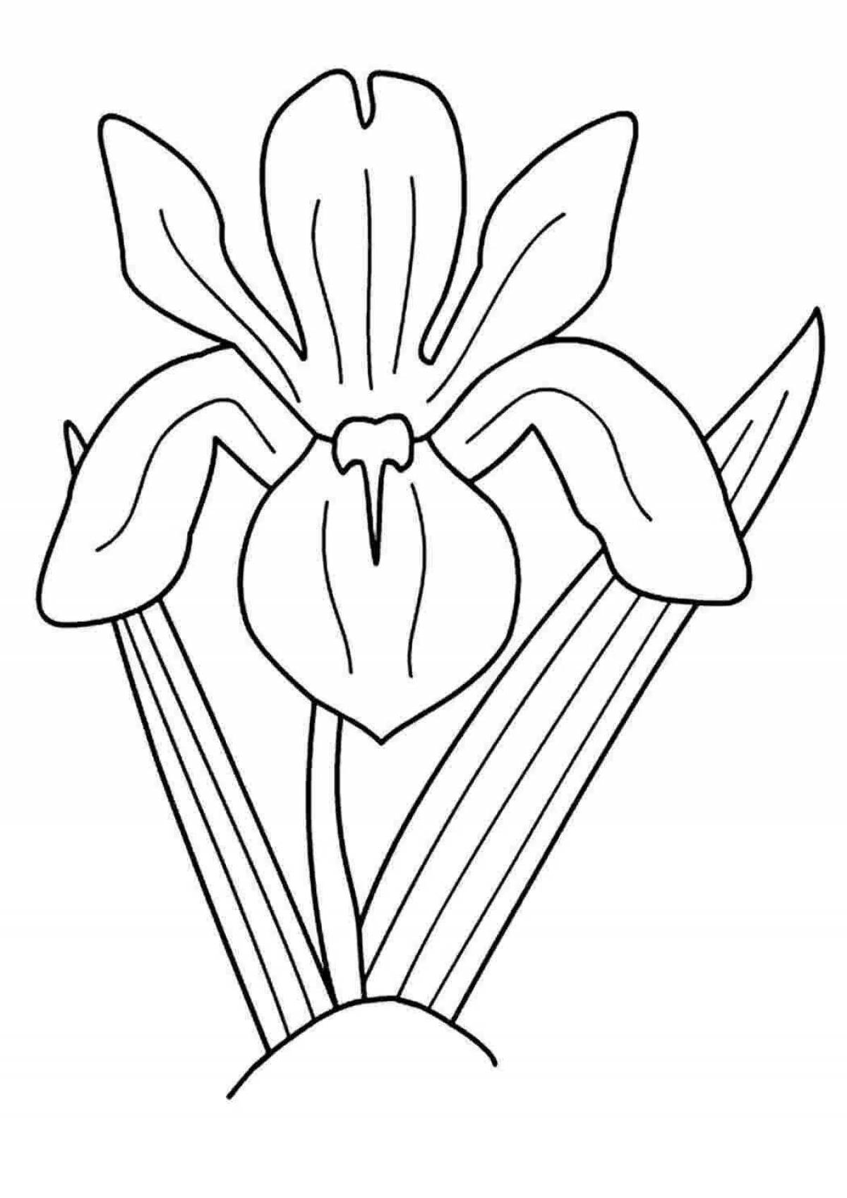 эскизы для батика цветы. эскизы цветов для батика. ирис касатик раскраска. касатик сибирский (ирис) раскраска. ирис касатик раскраска.