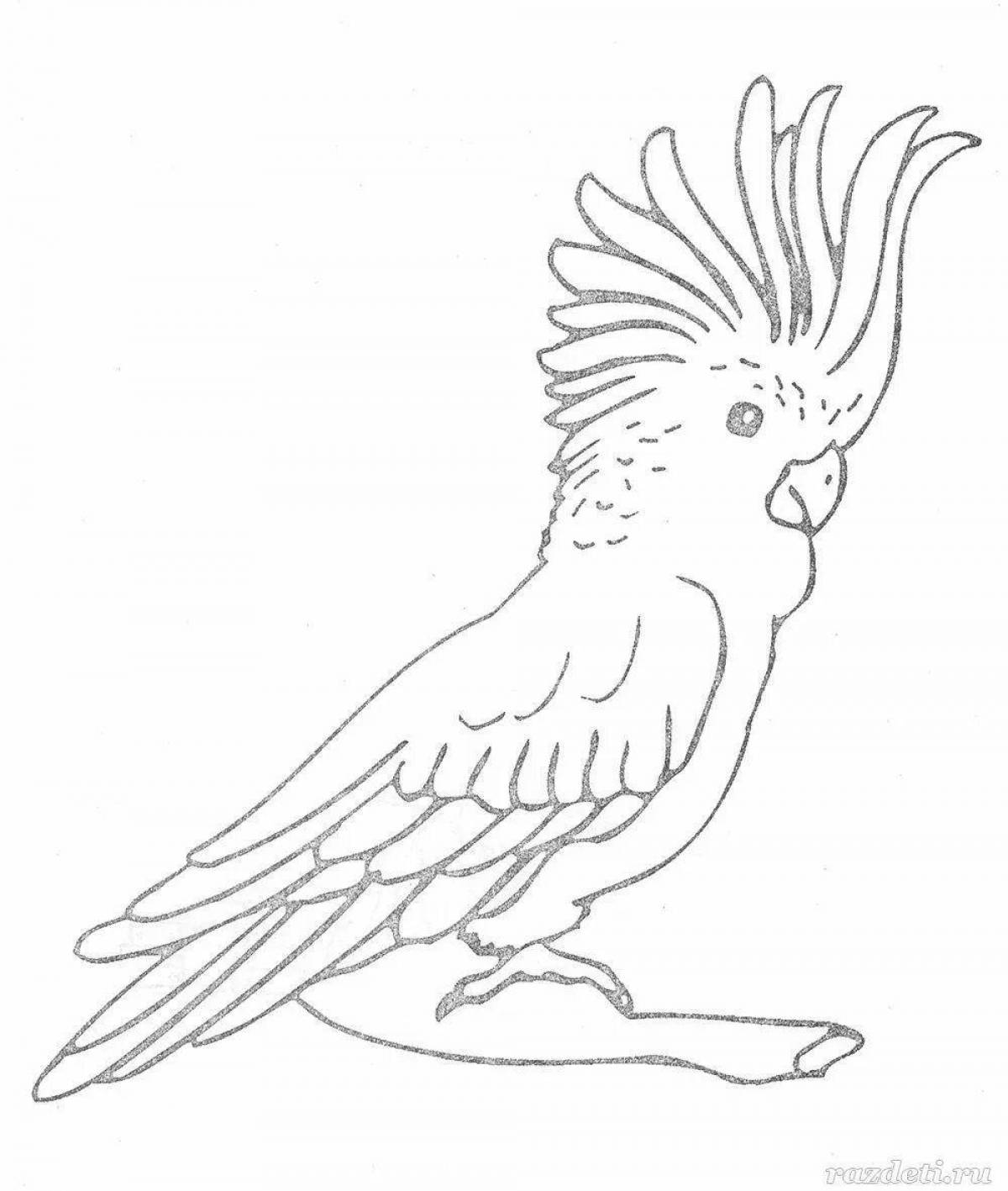 Раскраска Раскраска яркий попугай