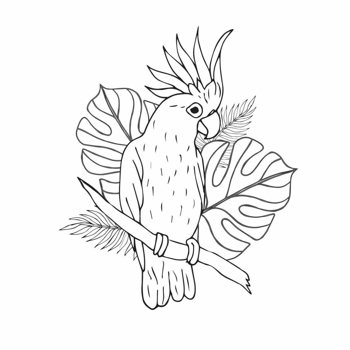 Раскраска Раскраска игривый попугай