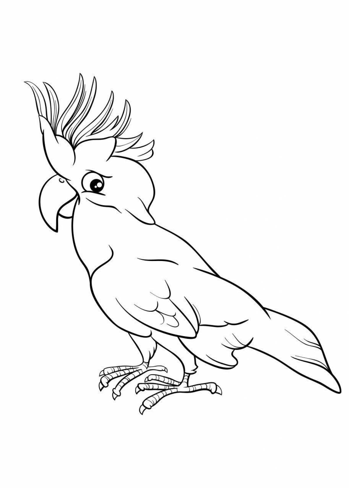 Раскраска Раскраска яркий какаду