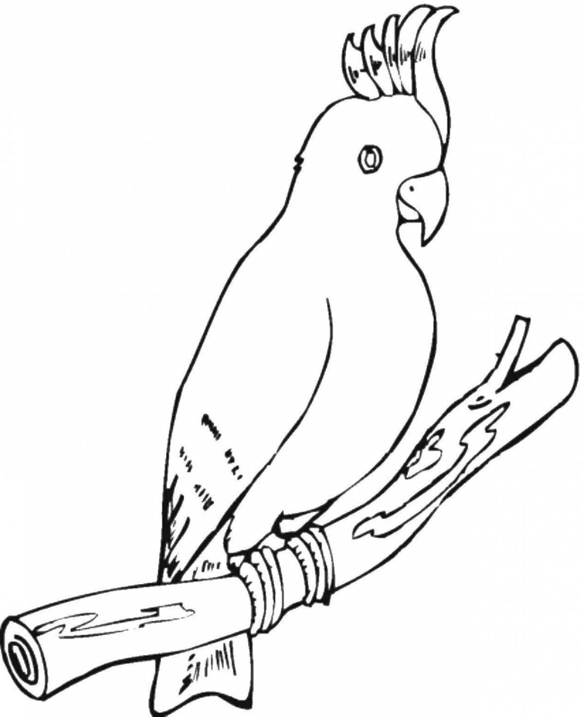 Animated parrot coloring page