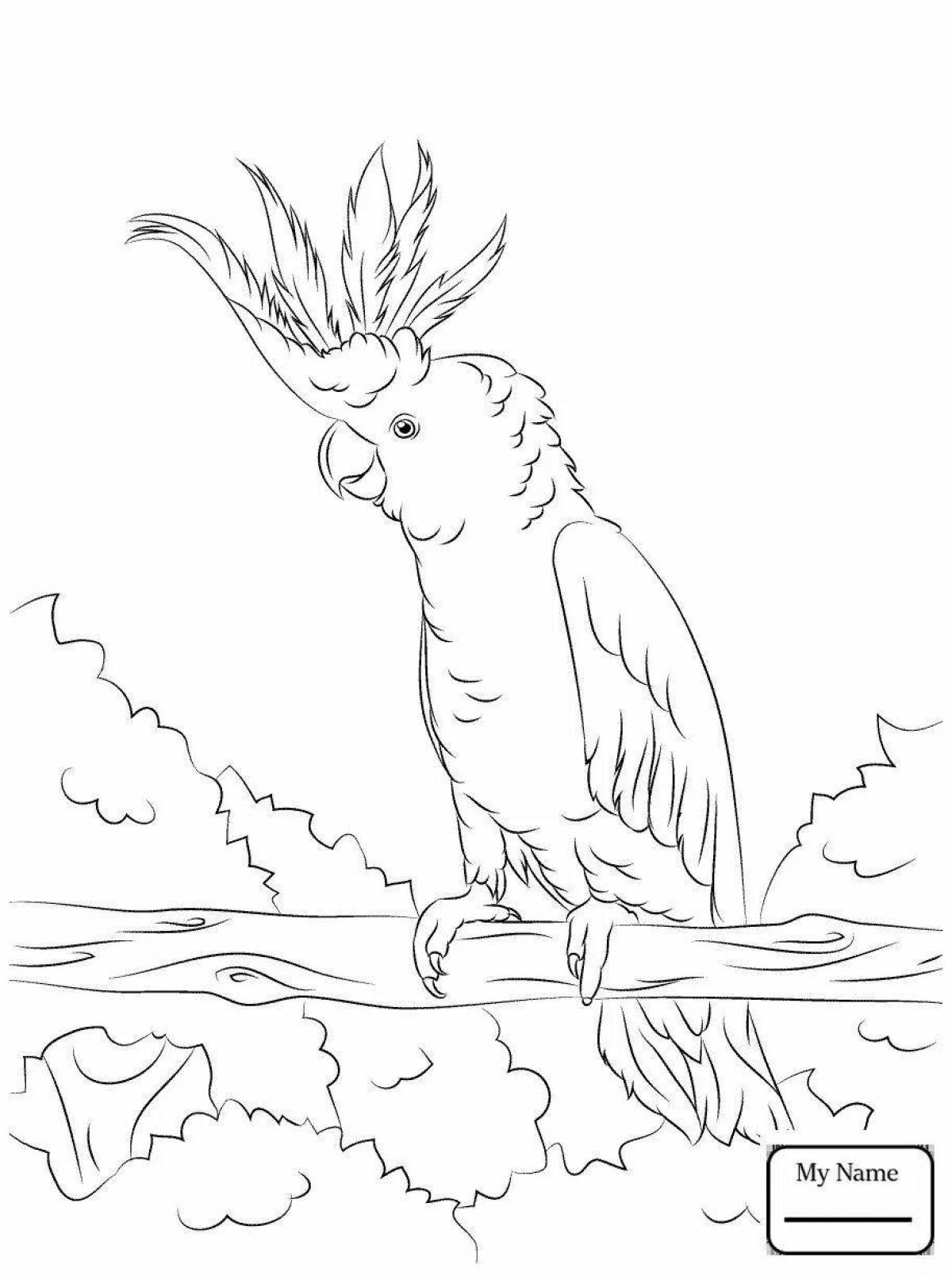 Coloring page of a sociable parrot
