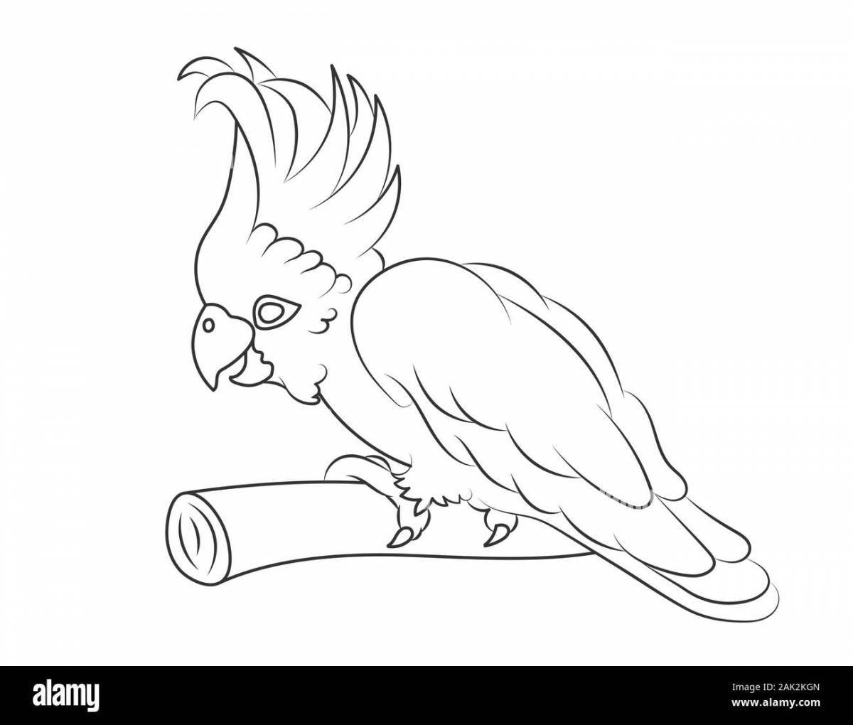 Coloring book nice cockatoo