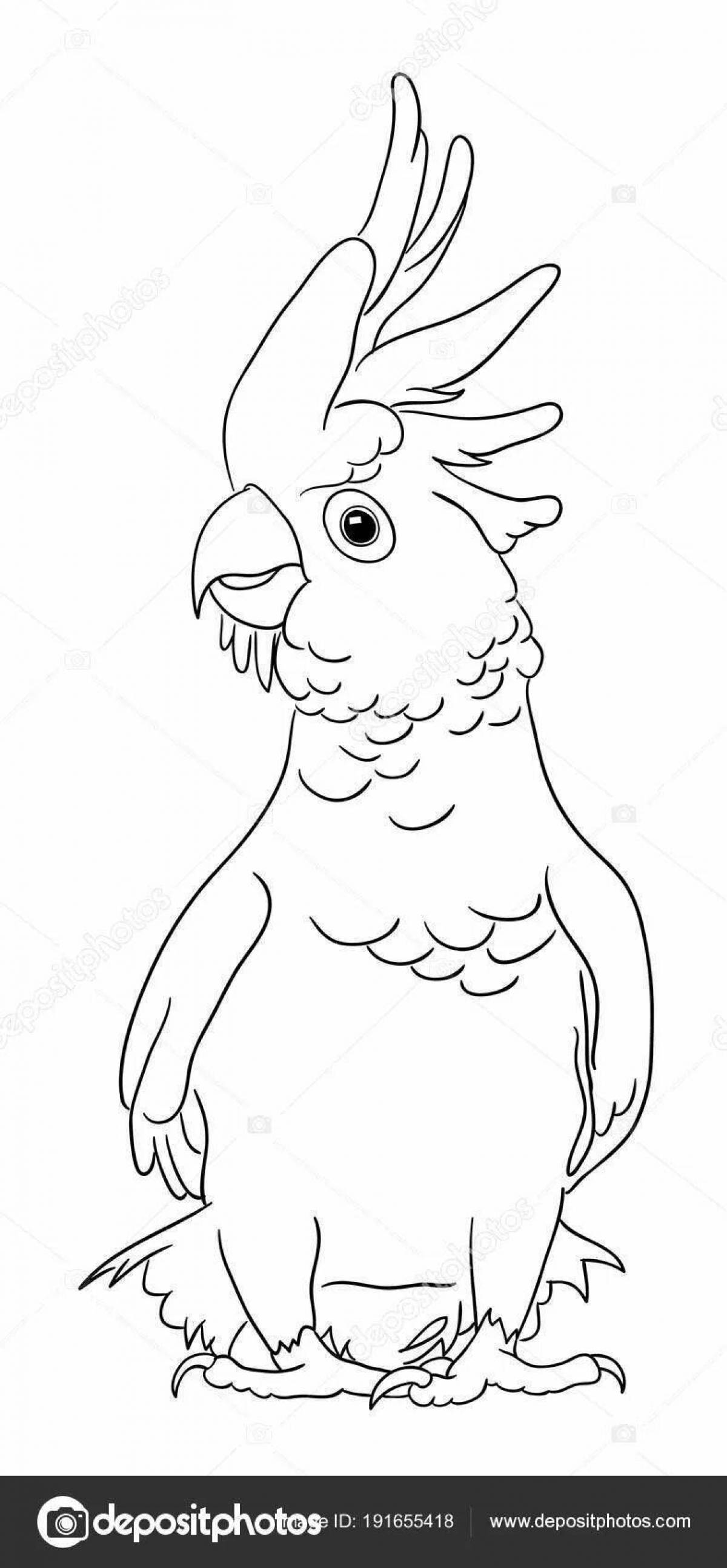 Coloring book shiny cockatoo