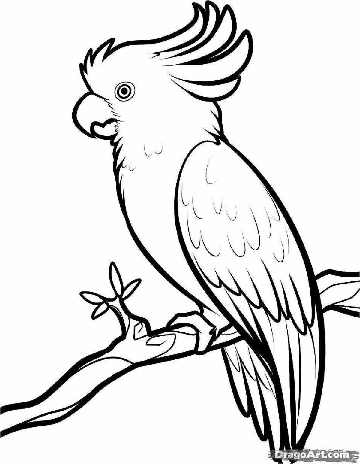 Great cockatoo coloring page