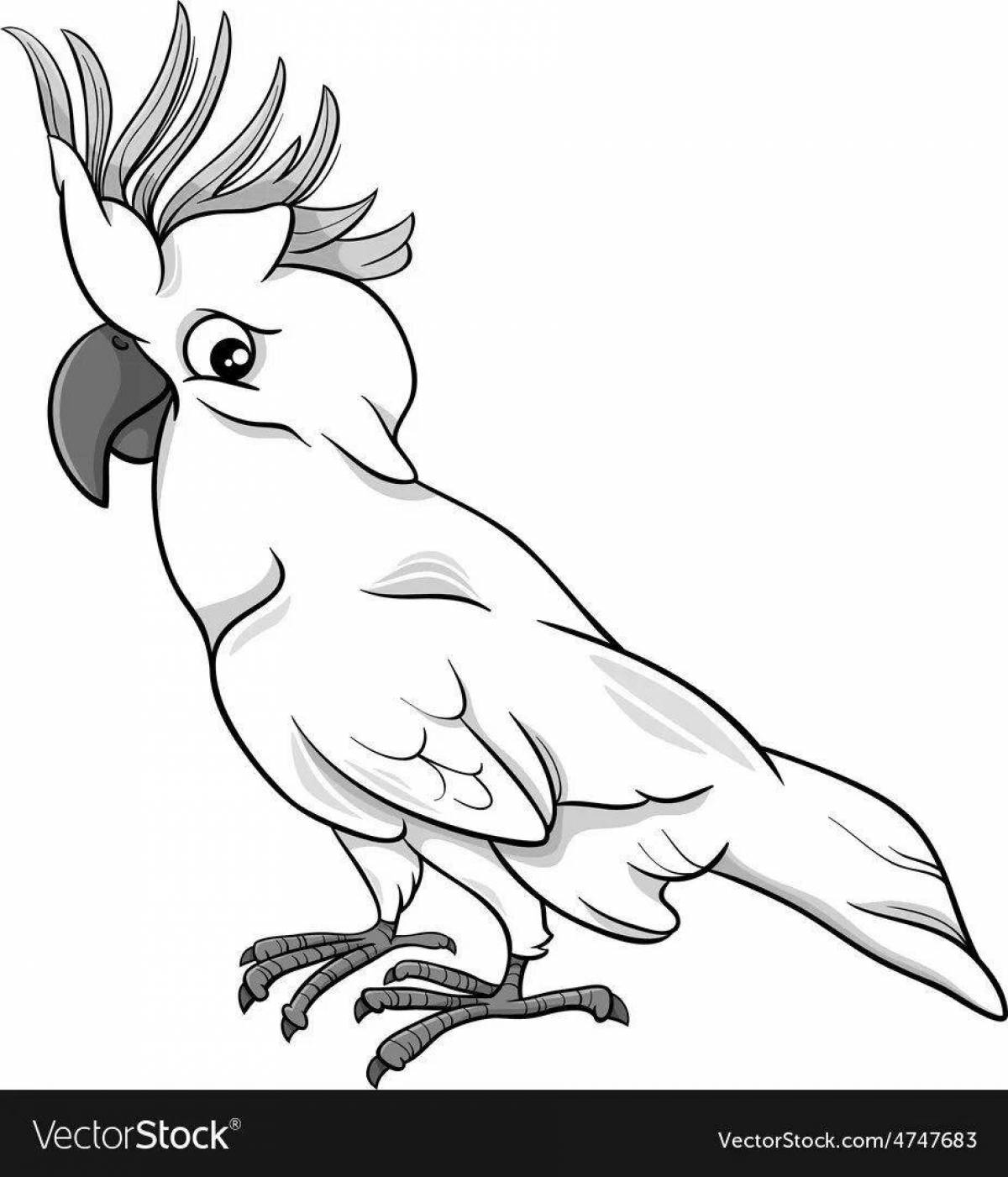 Попугай какаду #1