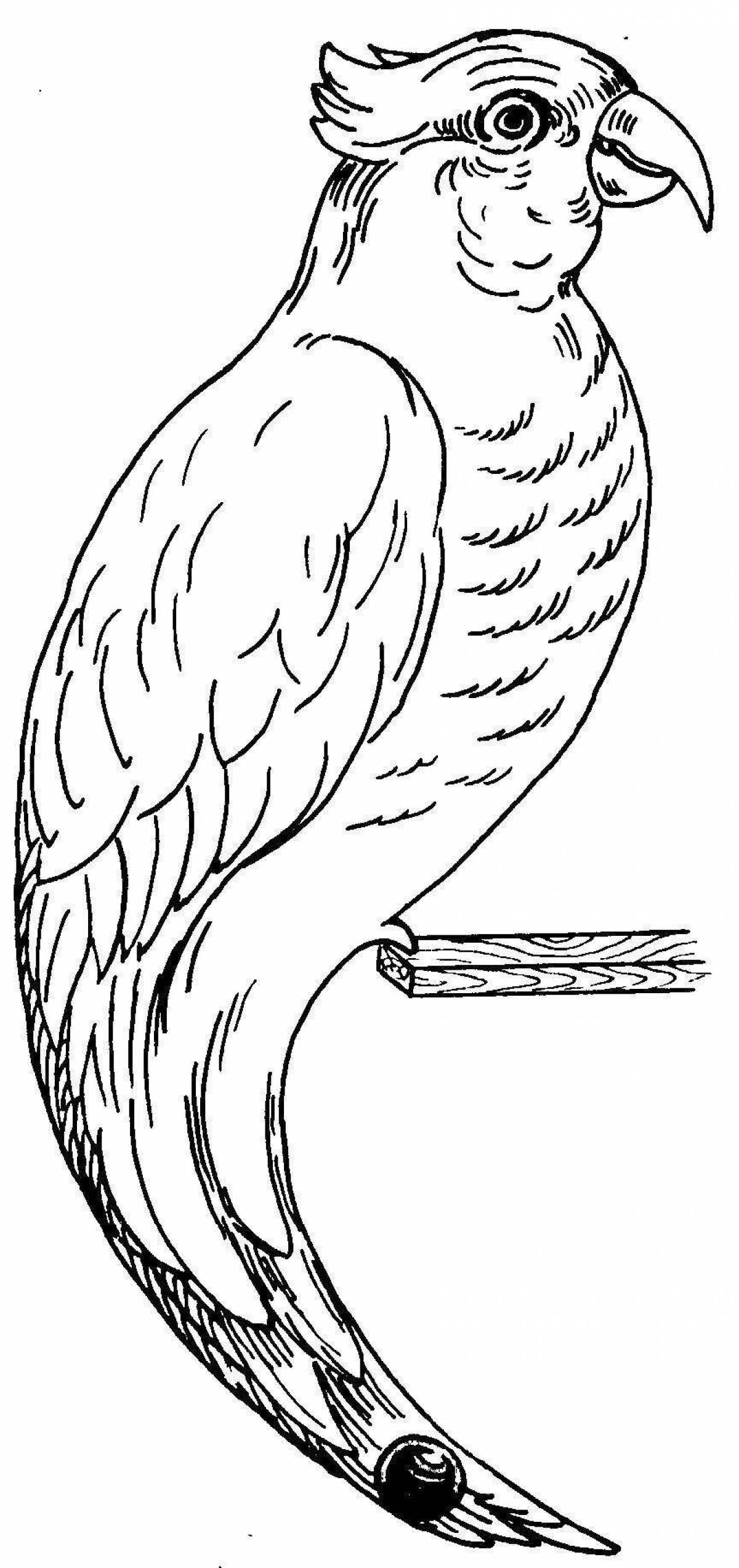 Раскраска Попугай какаду #2