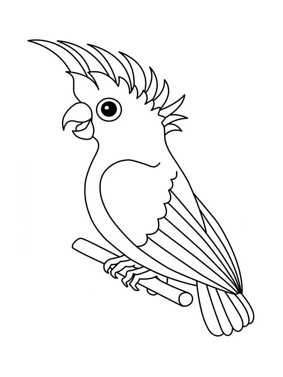 Попугай какаду #5
