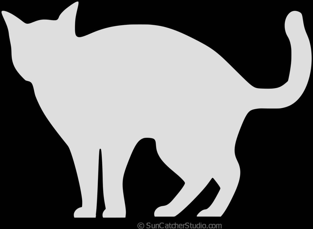 Coloring book shining cat silhouette
