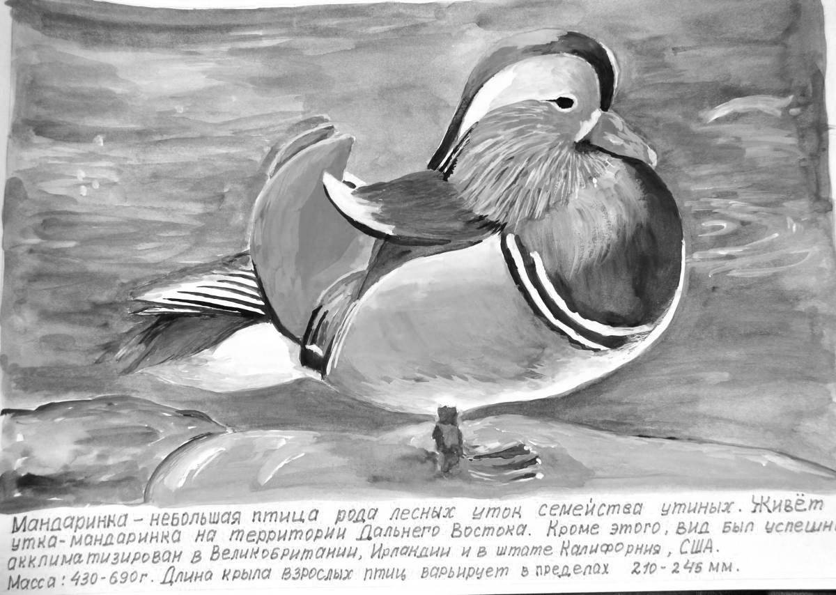 Photo Colorful mandarin bird coloring page