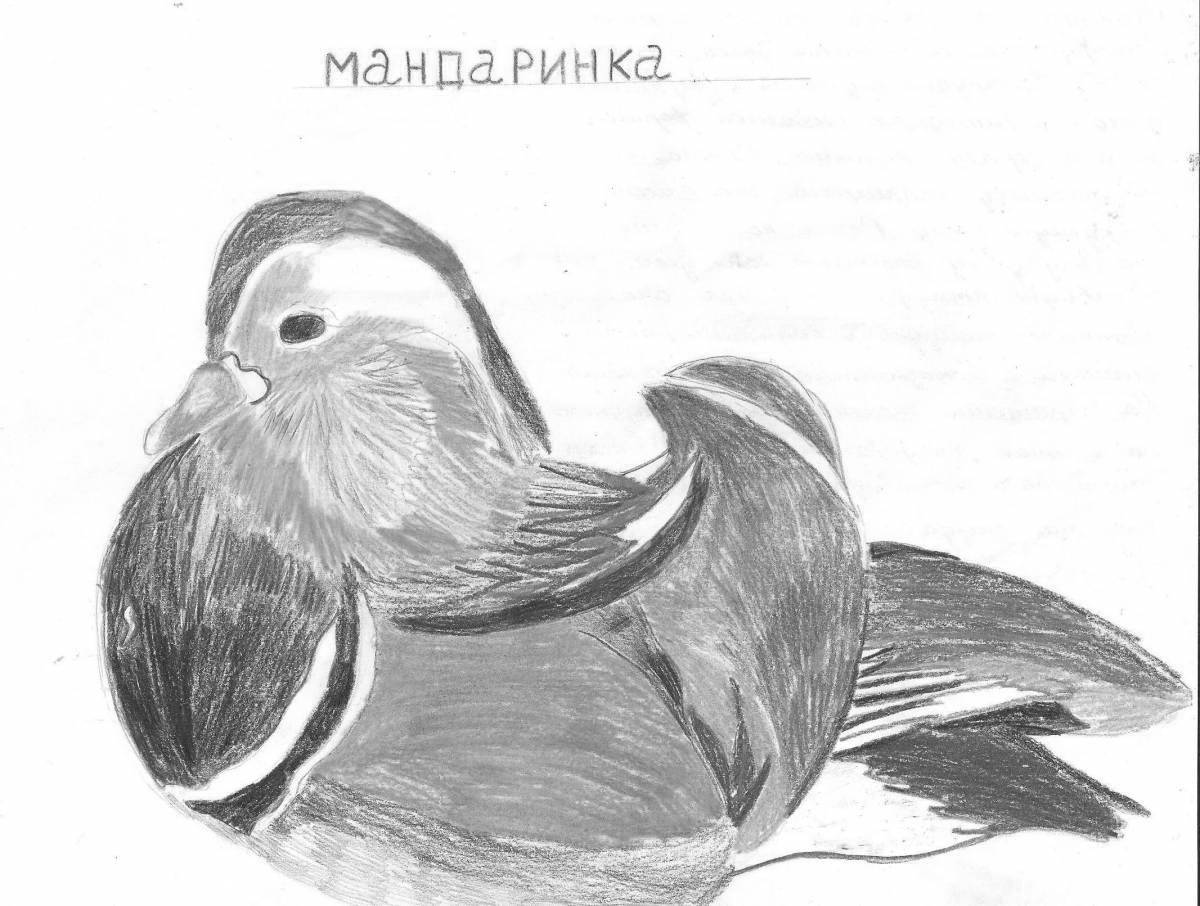 Photo Bright mandarin bird coloring page
