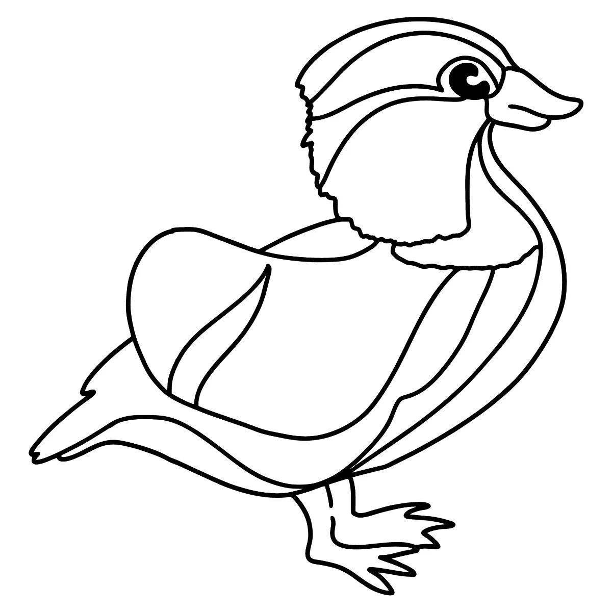 Раскраска веселая птица мандаринка