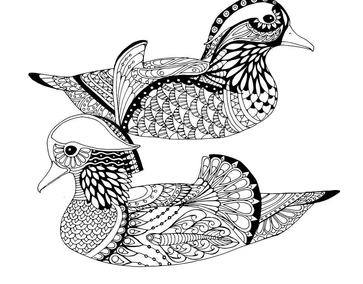 Photo Coloring page elegant mandarin bird
