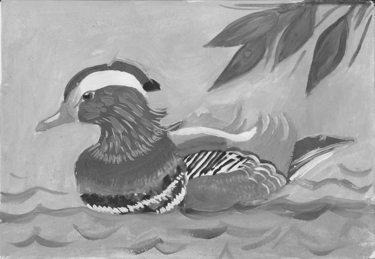 Увлекательная раскраска «птица-мандарин»