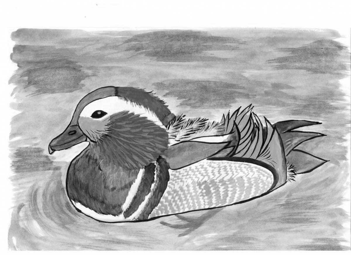 Photo Coloring book amazing mandarin bird