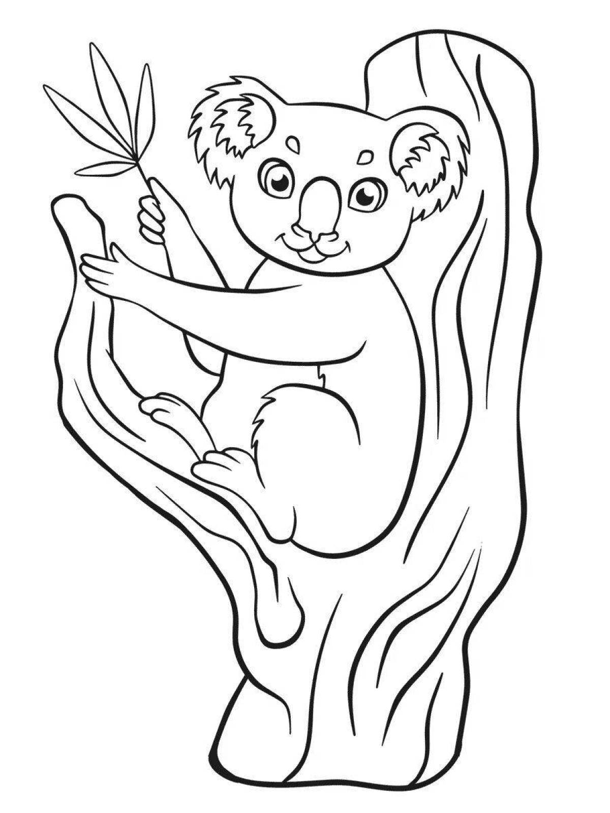 Exquisite eucalyptus coloring page