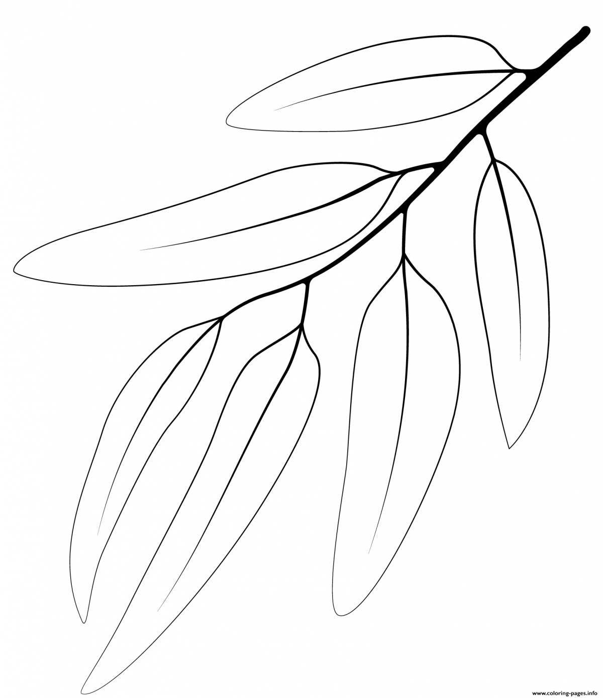 Royal eucalyptus tree coloring page