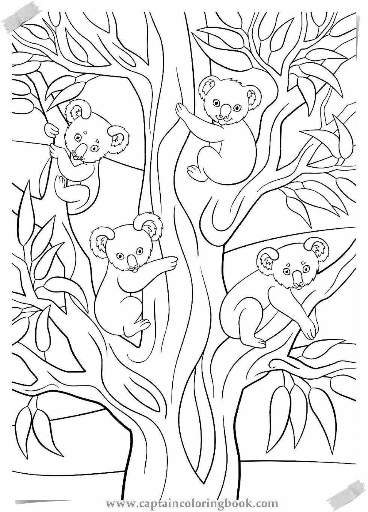 Coloring page dazzling eucalyptus tree