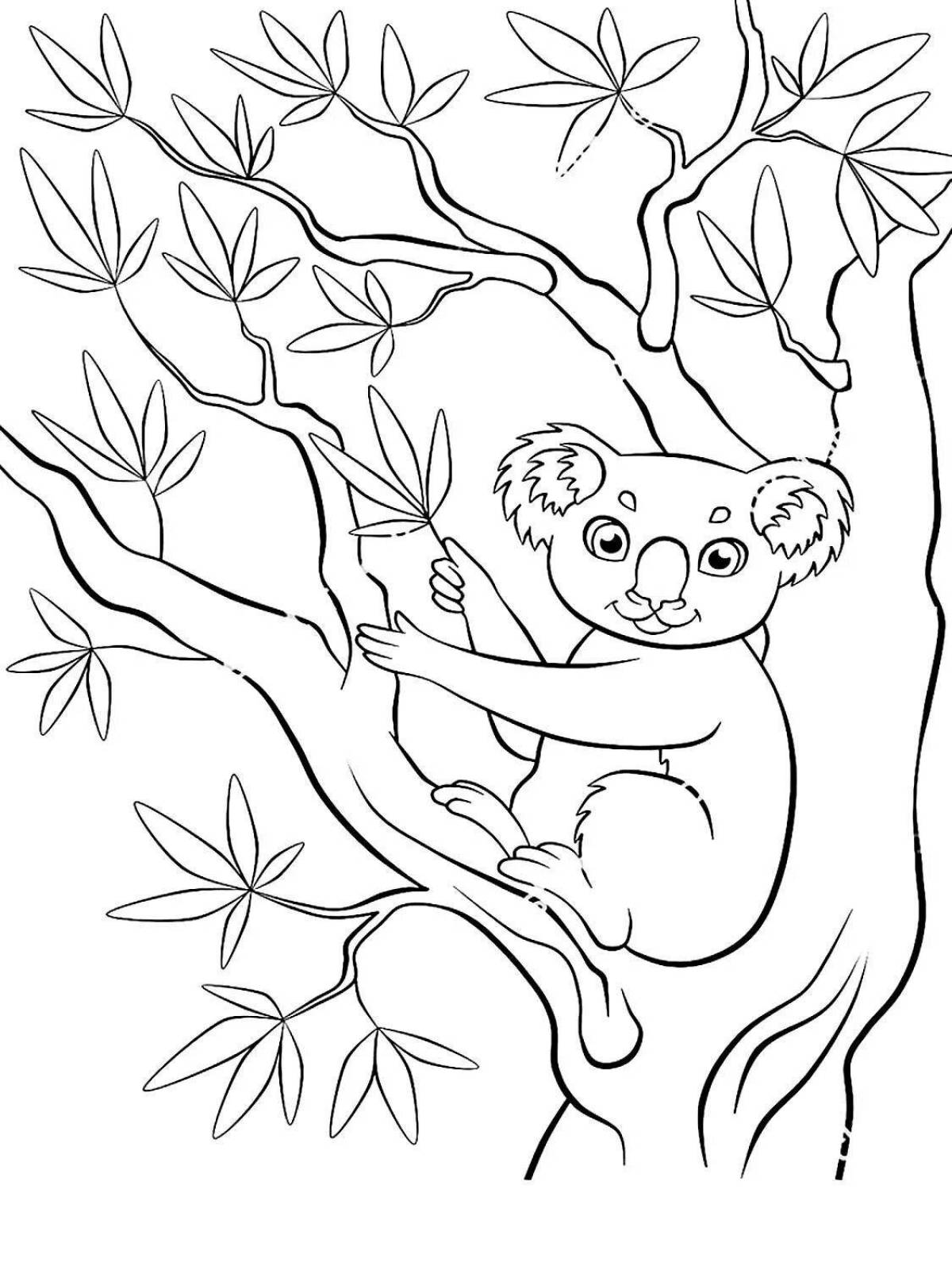 Great eucalyptus tree coloring page
