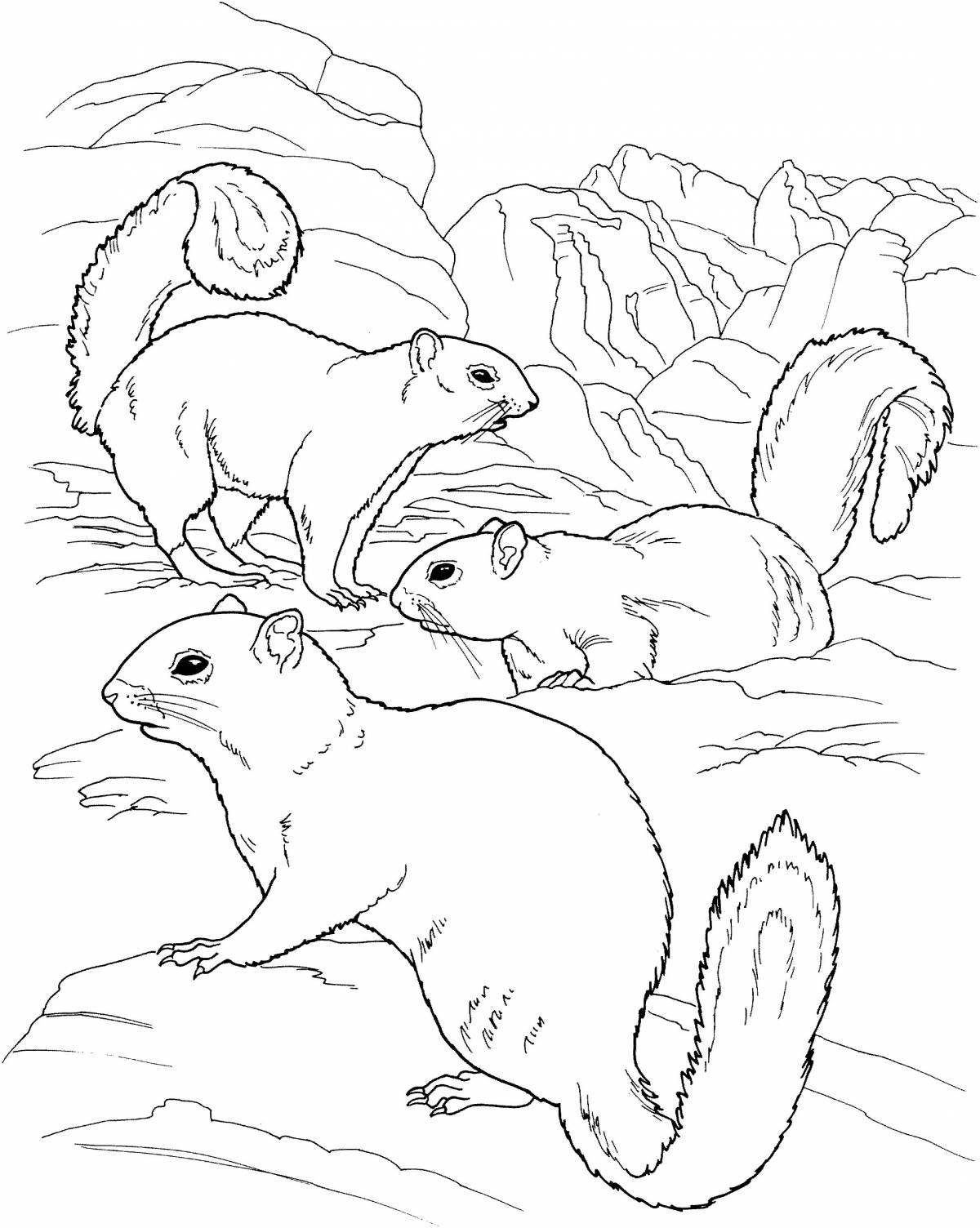 Adorable Speckled Gopher Coloring Page