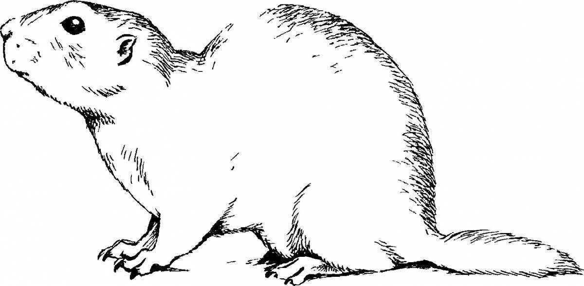 Sweet spotted gopher coloring page
