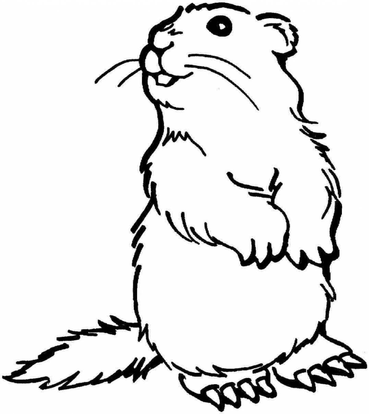 Coloring book fluffy spotted gopher