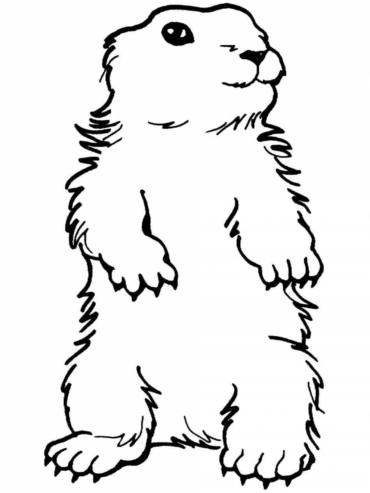 Fancy spotted gopher coloring book