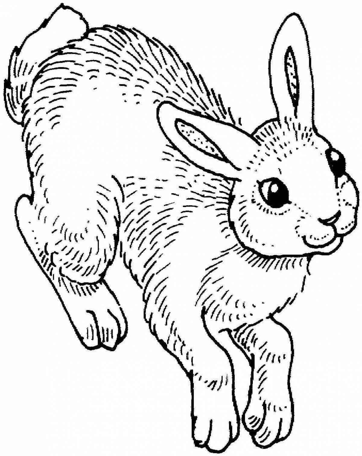 Дружелюбный кролик-раскраска