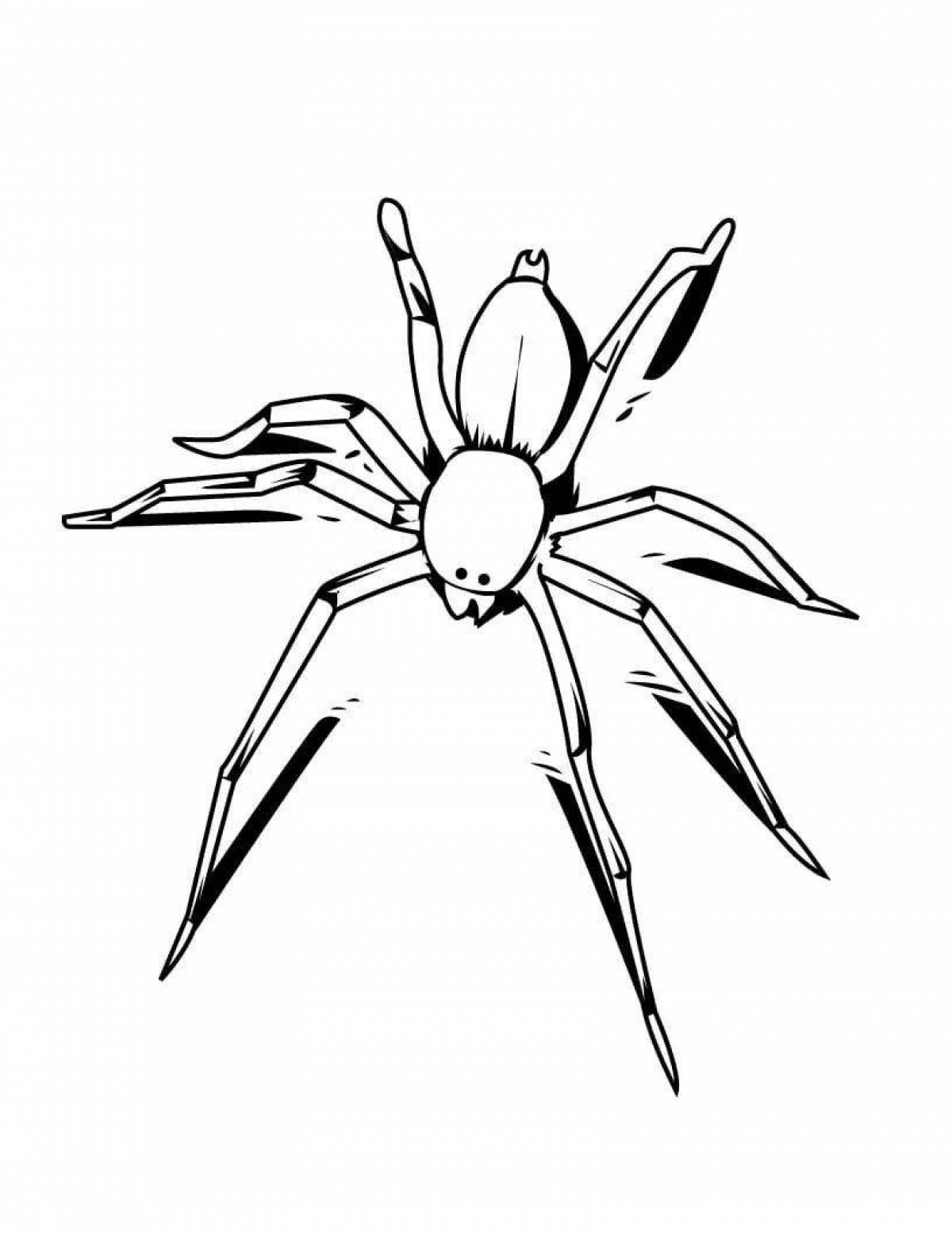 Intricate spider coloring page