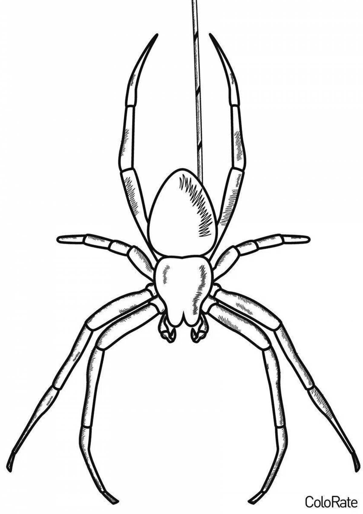 Fat spider coloring page