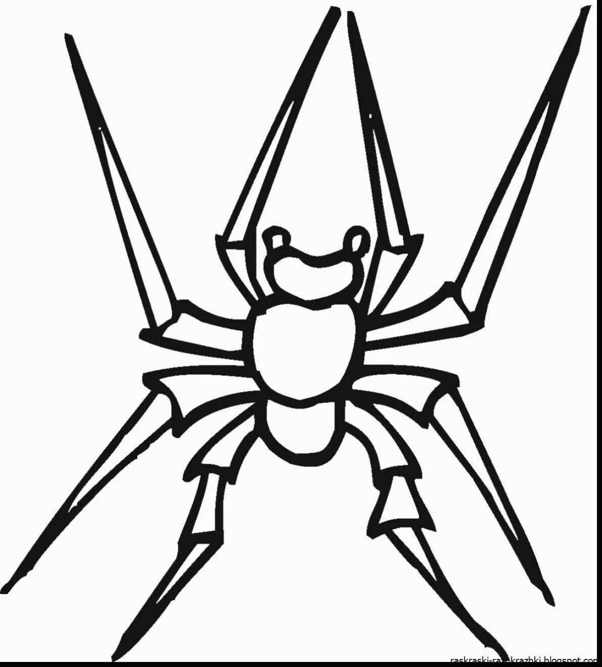 Adorable spider coloring page