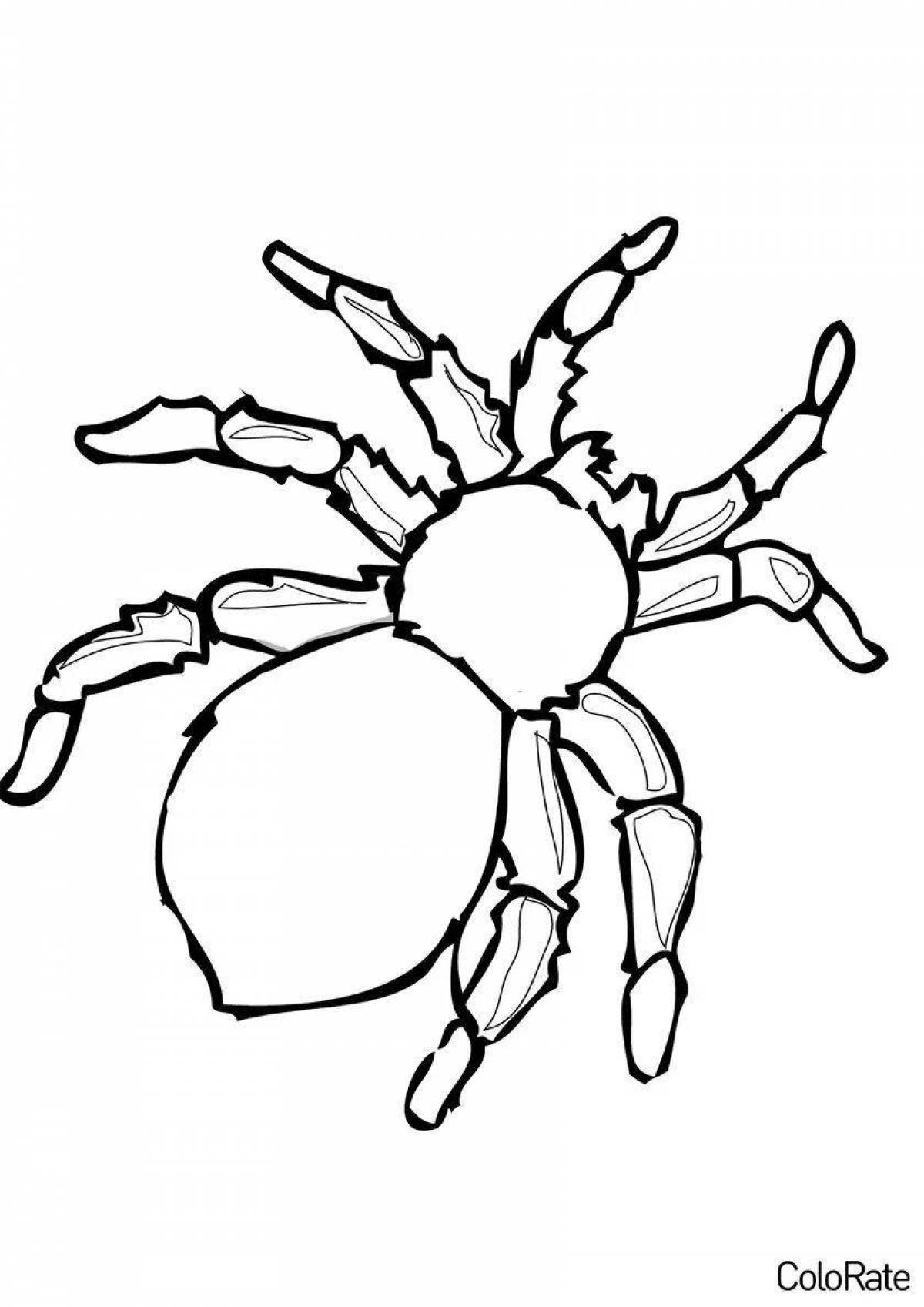 Восхитительная страница раскраски пауков