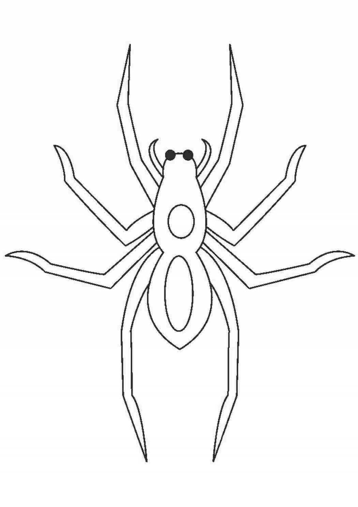 Bright drawing of a spider