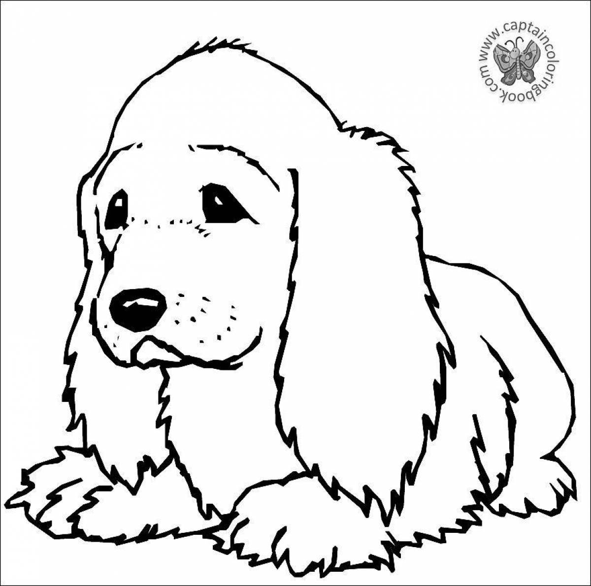Funny light dog coloring book
