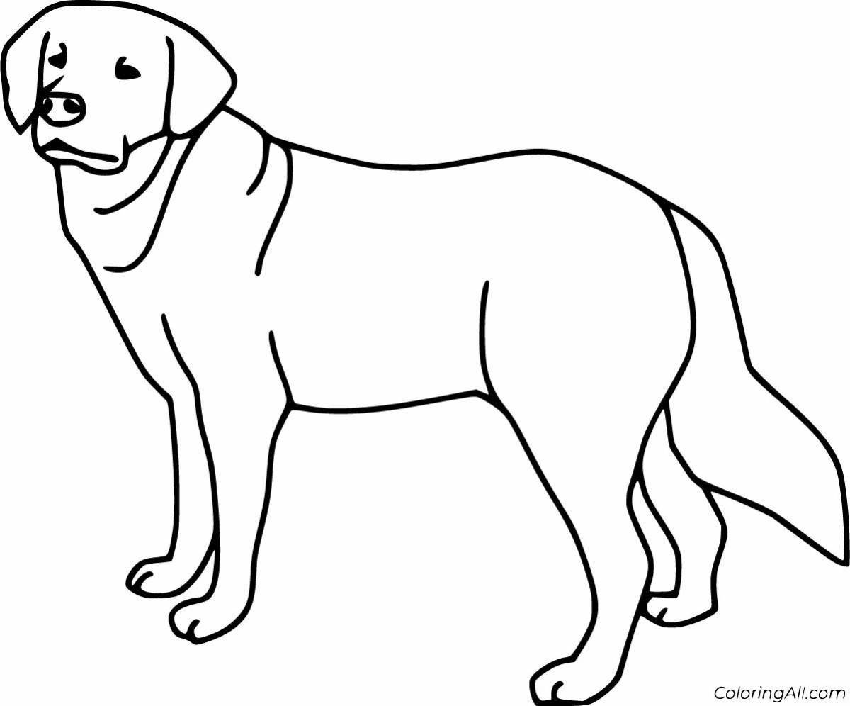Coloring page dazzling light dog