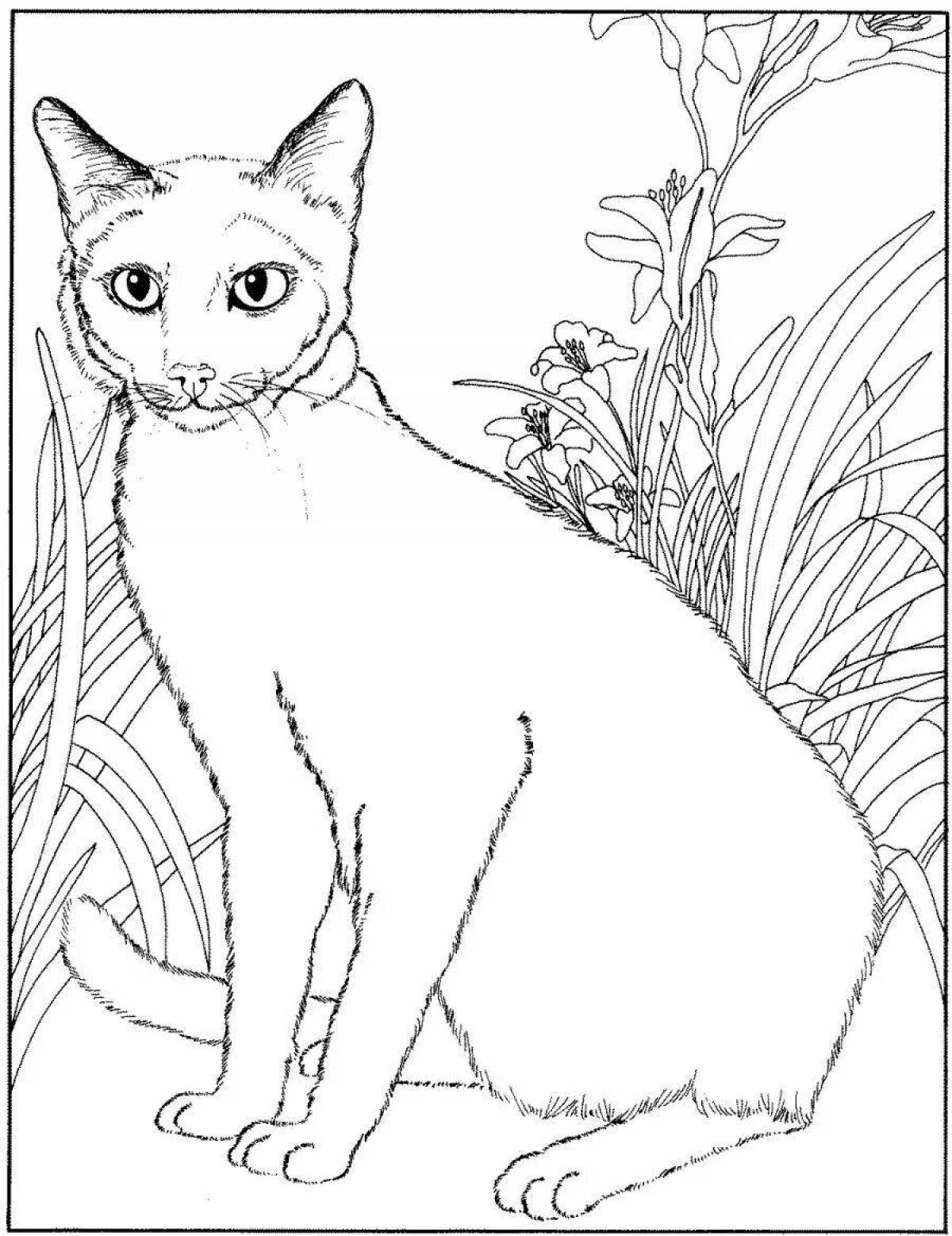 Colorful real cat coloring page