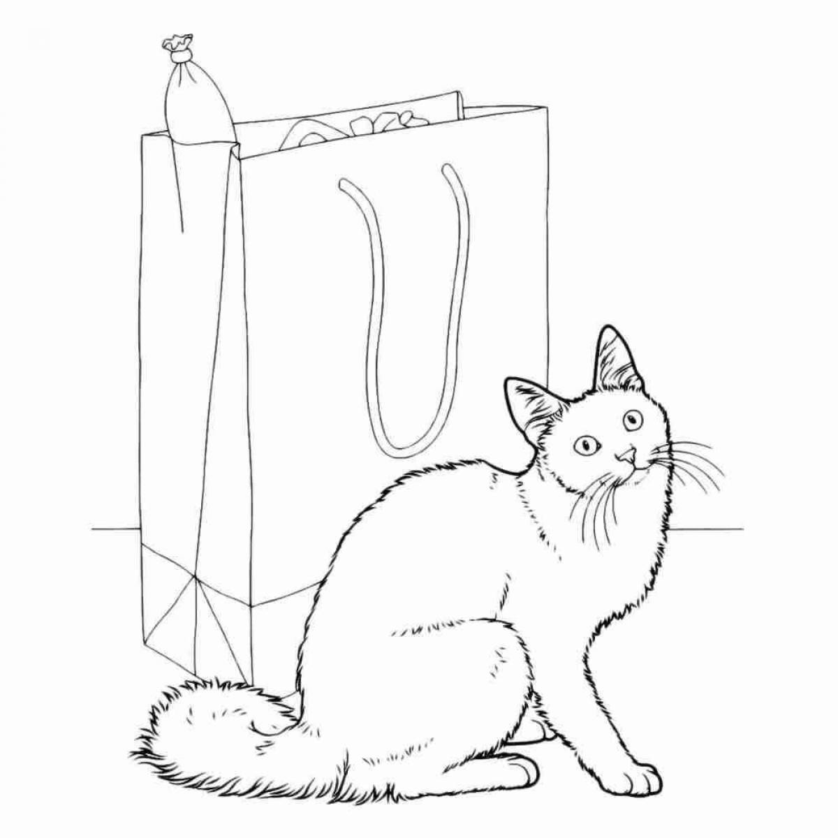 Coloring page fluffy real cat